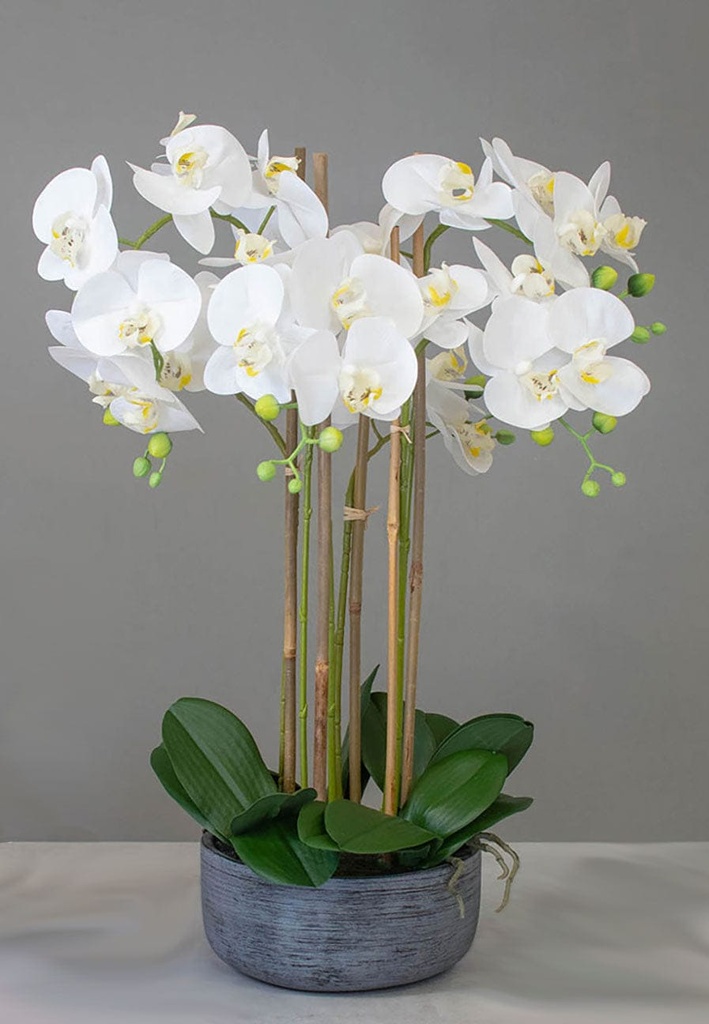 white artificial orchid flower